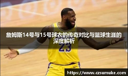 詹姆斯14号与15号球衣的传奇对比与篮球生涯的深度解析
